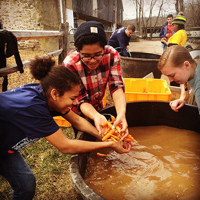 middle schoolers washing carrots
